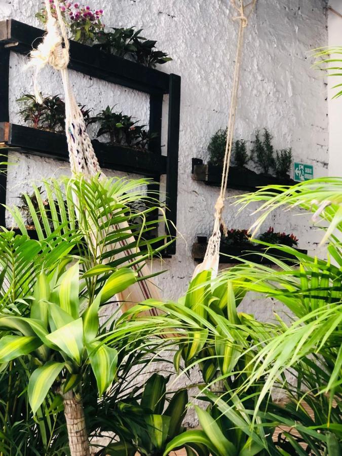 فندق Casa Egos Pop Laureles ميديلين المظهر الخارجي الصورة
